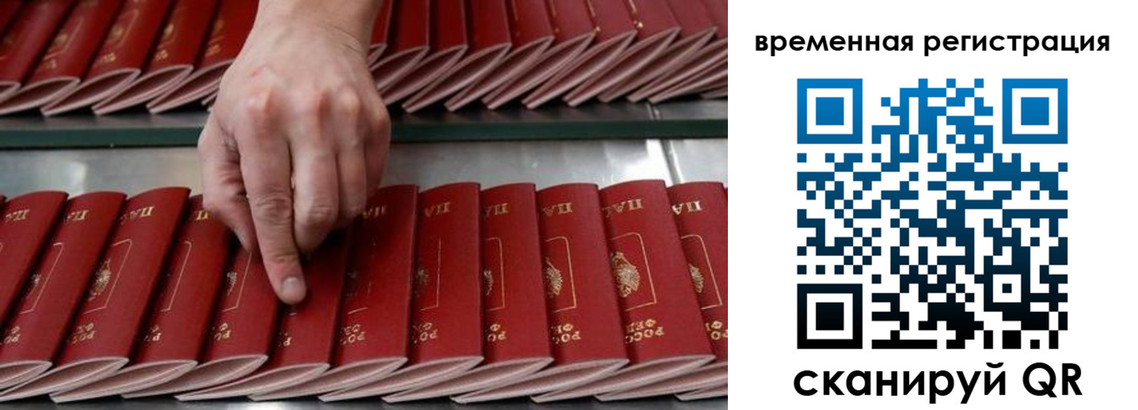 временная регистрация в квартире в Новом Осколе
